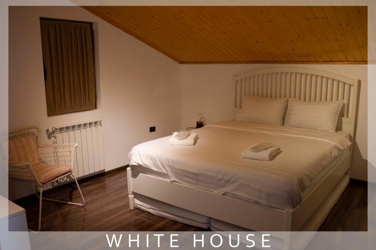 White House * Tbilisi